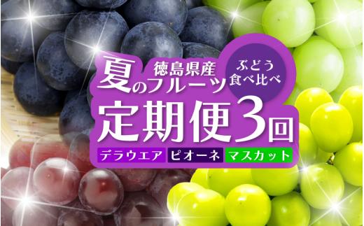 フルーツ 定期便 全3回 シャインマスカット ピオーネ デラウエア ぶどう 巨峰 ギフト 果物 夏 徳島県産 産地直送 新鮮 食べ比べ 3ヶ月 ＜徳島青果＞
