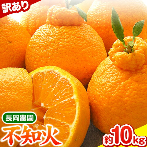 【ふるさと納税】【訳あり】不知火 ( デコポン )と同品種 約10kg 長岡農園《2026年2月中旬-4月上旬頃出荷》 和歌山県 日高川町 訳あり デコポン と同品種 不揃い 規格外 旬 柑橘 フルーツ 果物 訳ありデコポン 訳あり不知火