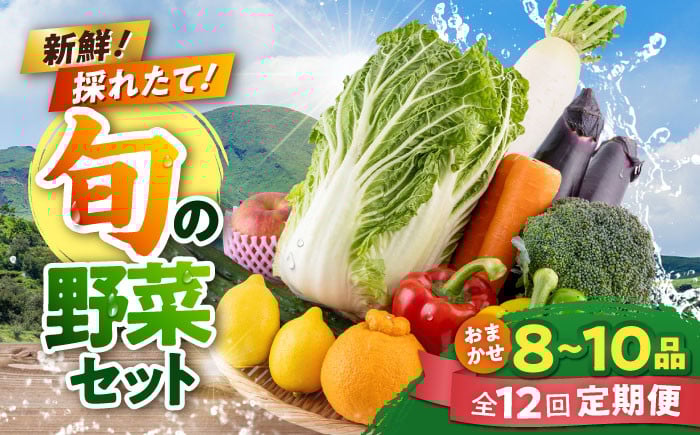
            【全12回定期便】旬な野菜おまかせ詰め合わせセット やさい 産直 産地直送 熊本県【合志物産販売 志来菜彩】 [AYCA002]
          