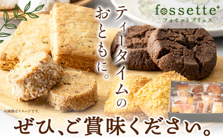 お菓子 クッキー 焼き菓子 詰め合わせ 14個 セット 焼き菓子屋 fossette+《30日以内に出荷予定(土日祝除く)》千葉県 流山市 送料無料 おまかせ 焼菓子 菓子 スイーツ フォセットプリュ