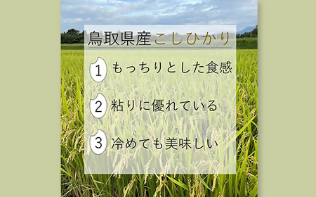 令和7年産  大山しらゆき米 10kg (精白、コシヒカリ)  コシヒカリ こしひかり 米 精白米