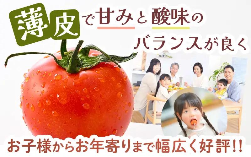 先行予約 完熟ミディトマト 1kg 中玉トマト 2026年10月上旬以降順次発送予定 [A-22101]