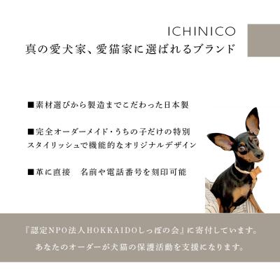 ふるさと納税 千歳市 ICHINICOオンラインショップ お仕立て券5,000円分 |  | 02