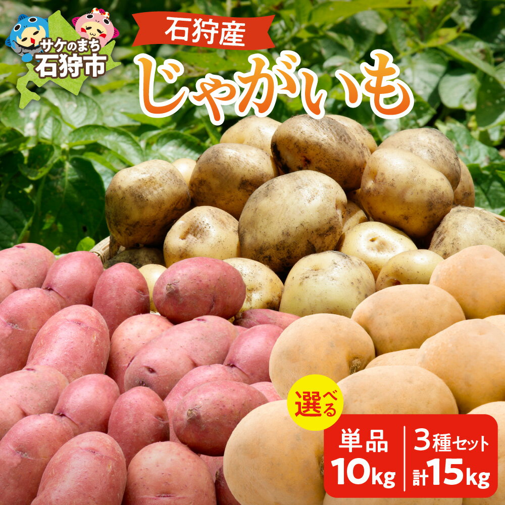 【ふるさと納税】《レビューキャンペーン》新じゃが 新じゃがいも ジャガイモ　【2025年度産：9月〜10月発送】石狩産じゃがいも(男爵・とうや・レッドムーン・3種混合)10kg・15kg　石狩市 いしかり 北海道 北海道産 野菜 秋野菜 根菜 芋 おいも 男爵品種