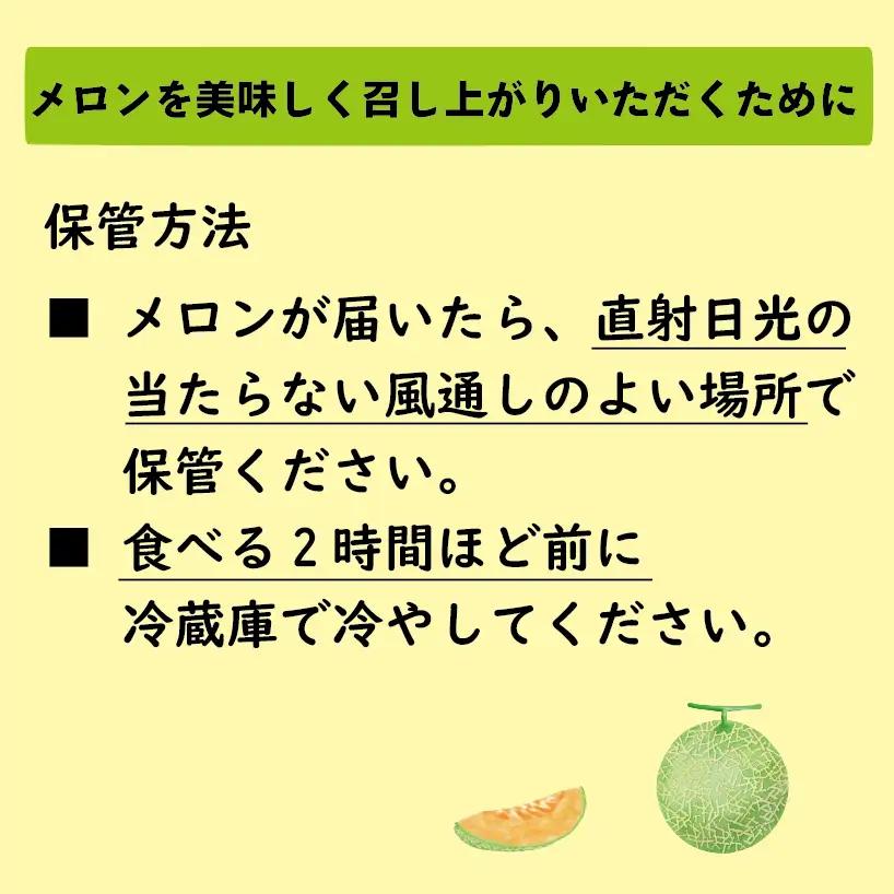 タカミレッドメロン 2玉 メロン 先行予約
