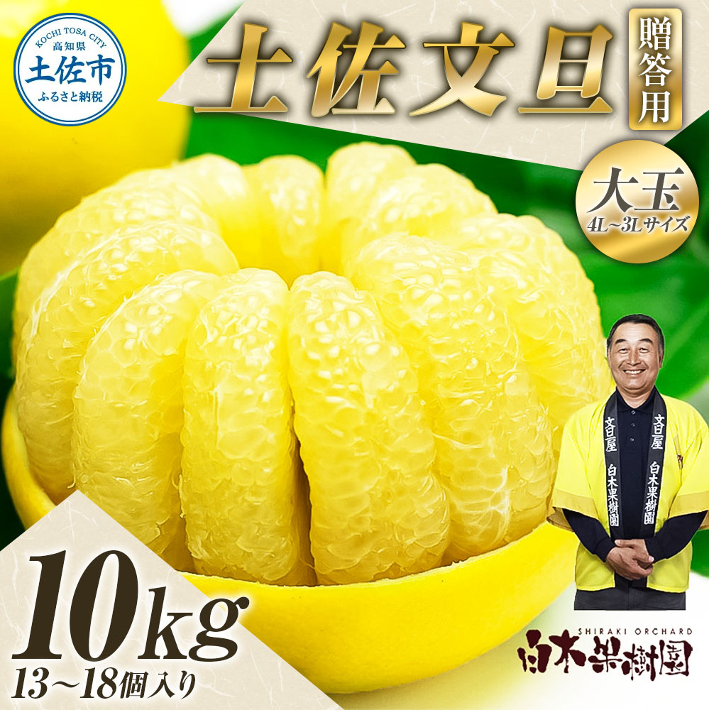 【先行予約】＼果樹園直送／ 贈答品 土佐文旦 約10kg  大玉 4L～3Lサイズ (13～18個入り)〈2027年2月中旬～3月下旬頃発送〉  /【白木果樹園】 [BQAI004]