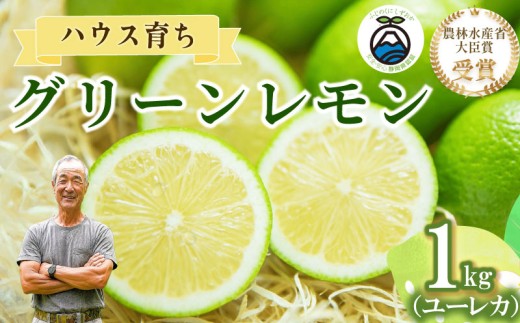 【農林水産大臣賞  予約受付 国産 レモン】選べる 内容量 グリーンレモン 1kg れもん 檸檬 Lemon 柑橘類 柑橘 フルーツ 果物 酸っぱい 果肉 酸味 甘み 防腐剤不使用  受賞農園 皮食べられる 自宅用 贈答品 レモンスカッシュ レモンパウンドケーキ レモンサワー くだもの 家庭用 静岡県産 農家直送 産地直送 産直   グリーン レモン 大関農園  静岡 県 牧之原 市