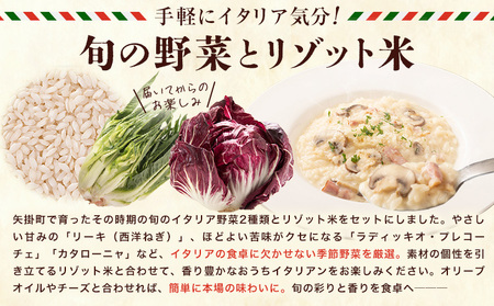矢掛町自慢のイタリア野菜2品目＆リゾット米1kg《1月上旬-3月末頃出荷》