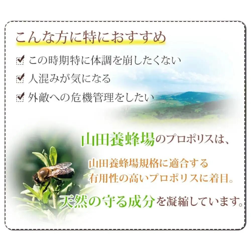 ビーエナジードリンク〈30ml×10本入〉（00136）【006-a144】