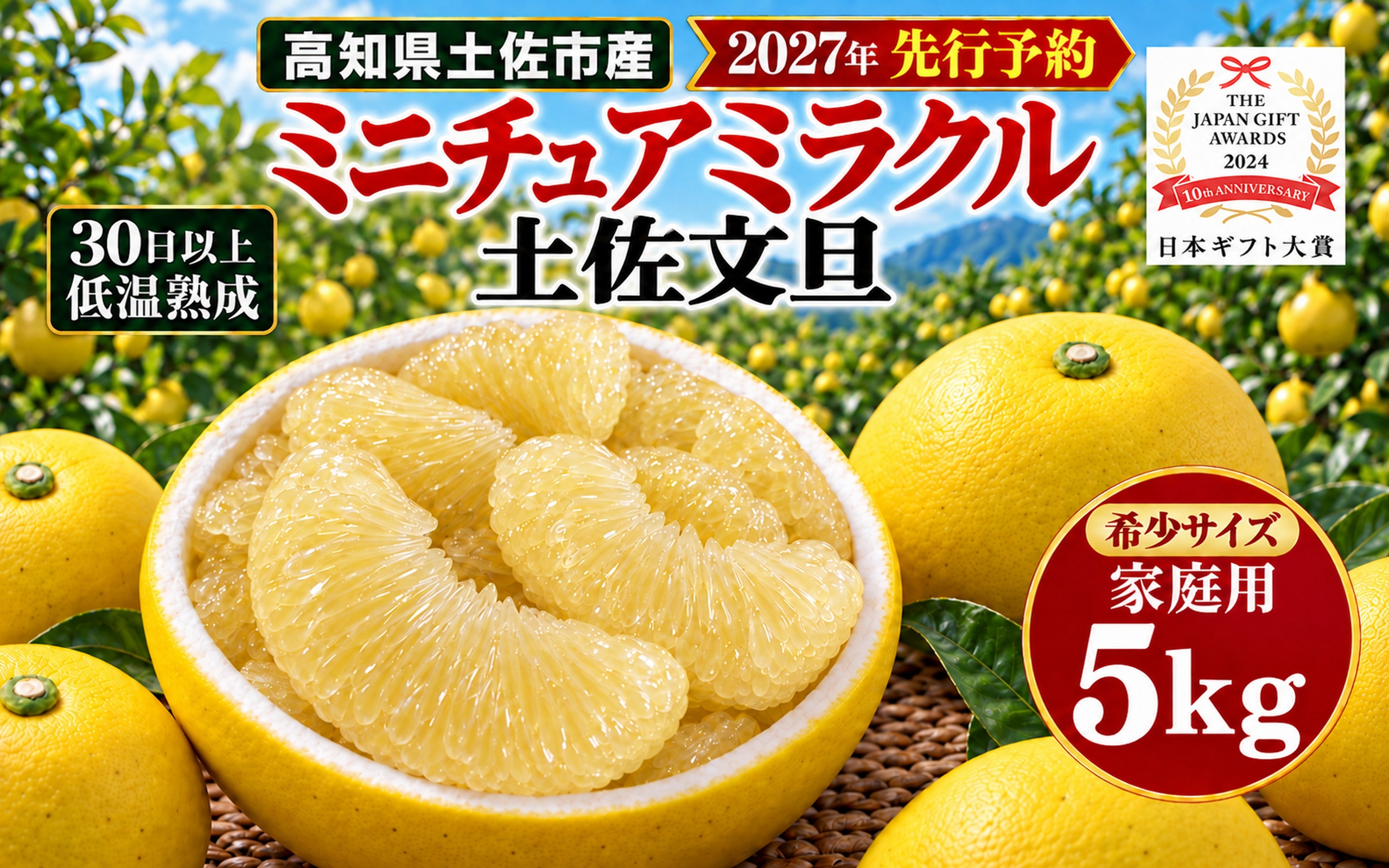 
                  土佐文旦 ミニチュアミラクル 5kg 家庭用 超小玉 日本ギフト大賞受賞 文旦発祥の地 園主こだわり 希少サイズ 小玉よりさらに小さい 高知県土佐市産 高知県産 国産 5キロ ぶんたん みかん 柑橘類 高級フルーツ 果物 産地直送 お取り寄せ ギフト 先行予約 やの一果彩[BQAC026]
                