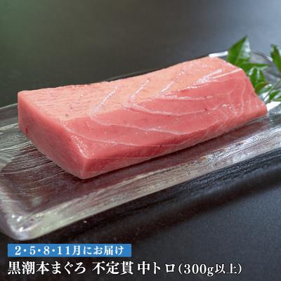 ふるさと納税 大月町 【定期便 4回】高知県産 本マグロ 中トロ 養殖 2柵 300g (不定貫) |  | 03