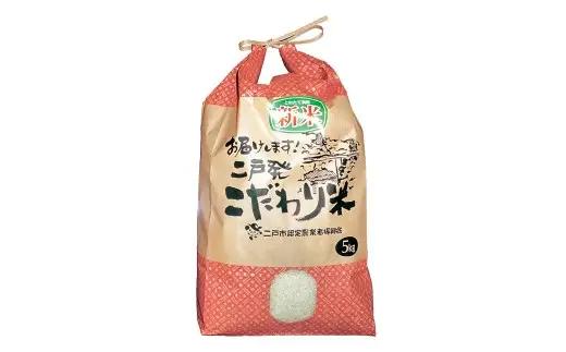 岩手県二戸市産 舌崎りんご サンふじ ・ シナノゴールドと令和8年産 いわてっこ 5kg 精米セット ／ りんご リンゴ アップル 果物 果実 フルーツ 甘味 酸味 歯ごたえ ビタミン ミネラル 新米