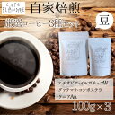 【ふるさと納税】BR-21 【自家焙煎】カフェ・フランドル厳選コーヒー3種セット（100g×3・豆）
