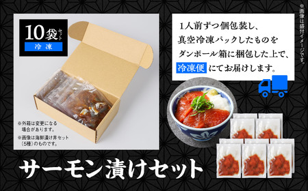 サーモン漬け丼セット 60g×10袋 計600g 訳アリ 訳あり 簡易包装 冷凍 時短 簡単調理 お手軽 小分け パック 個包装 一人暮らし 海鮮丼 海鮮 鮭 季節 魚 漬け 丼 魚介 おすすめ 送料