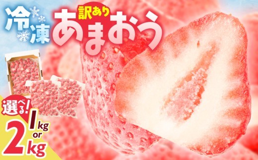 
                  【2027年3月より順次発送】増永農園 訳あり冷凍あまおう _  選べる 1kg 2kg あまおう ブランド 朝採れ 新鮮 冷凍 形不揃い 美味しい スムージー アイス ヨーグルト 氷代わり お酒 サイダー 活用無限大 訳あり お取り寄せ 福岡県 久留米市 送料無料 _ Fi081-sku
                