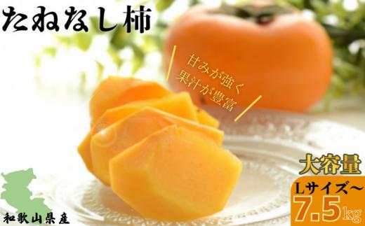 【先行予約】【JAわかやま】Lサイズ たねなし柿 約7.5kg 【2025年9月下旬～10月下旬に順次発送致します。】  種なし 種無し タネなし 柿 かき カキ フルーツ 果物 人気 旬 秋の味覚【jan001】
