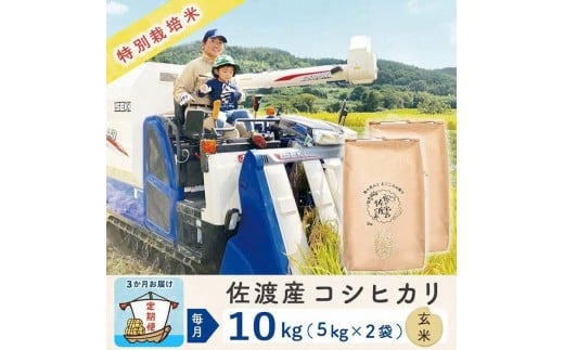 【3か月定期便】佐渡島産コシヒカリ 玄米10Kg 令和7年 特別栽培米 農家直送