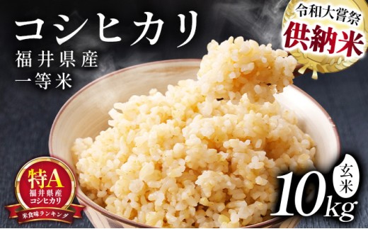 数量限定【令和8年産】福井県産 コシヒカリ 一等米 玄米 10kg【米 コメ お米 ブランド米 白米 精米 こしひかり 国産 北陸 5kg 10kg ご飯 ごはん 小分け 家庭用 ふるさと納税米】[101-a007]