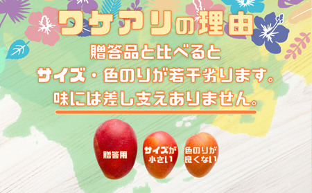 訳あり 完熟 アップルマンゴー 2L 350g～460g 2玉 マンゴー 果物 デザート 品評会連続入賞 2024年 発送 ますみ農園