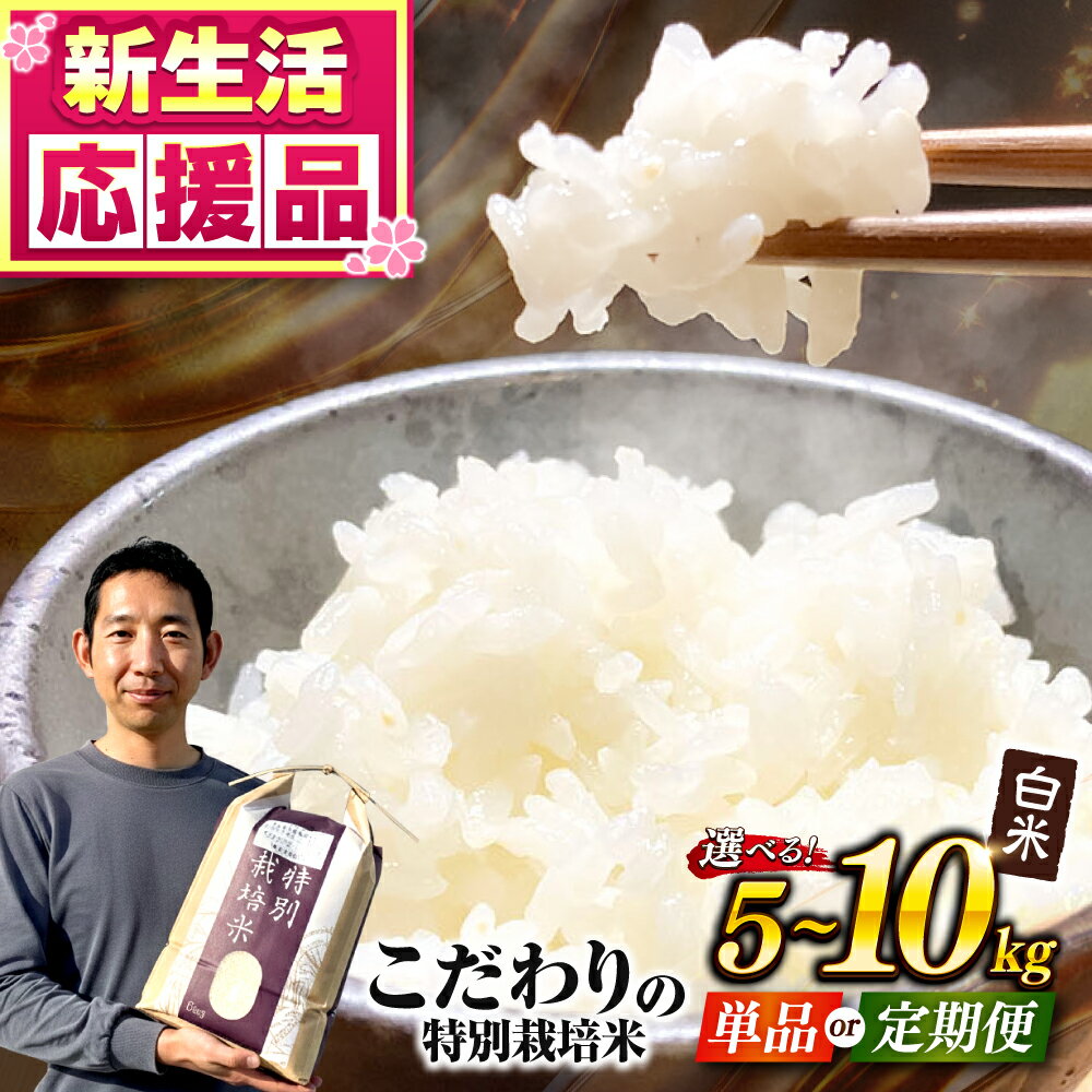 【ふるさと納税】 【令和7年度】 《選べる容量・お届け回数》くまさんの輝き 白米 5kg /10kg 【坂本農園】[AYCC021] 米 こめ 白米 ご飯 ごはん コメ お米 精米 熊本県産 合志市 産地直送 ランキング 人気 ブランド おすすめ 口コミ 評判 コスパ 九州 食品 国産