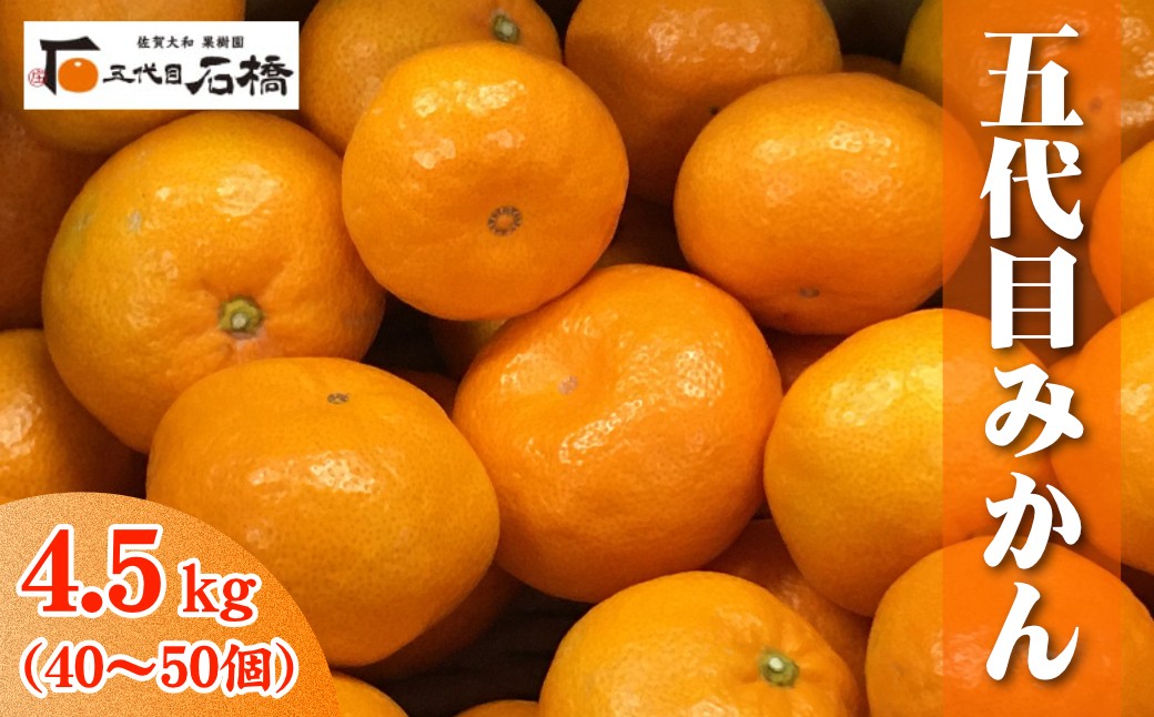 
                  石橋果樹園 五代目みかん4.5kg（40～50個）
                