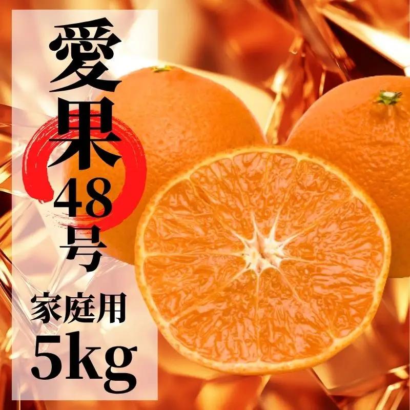 【2027年2月下旬頃から順次発送】愛果48号 家庭用 約5kg あいか 期間限定 みかん 柑橘 愛媛県産 【PT050】