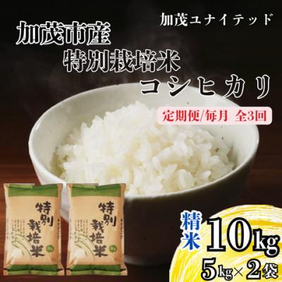 ふるさと納税 加茂市 【発送月固定定期便】特別栽培米コシヒカリ　精米　10kg　10月上旬より順次発送全3回