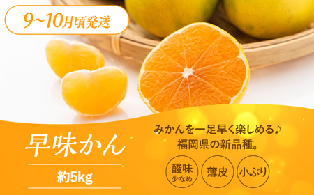【全3回定期便】九州・福岡もぎたて フルーツ定期便 A＜一般社団法人地域商社ふるさぽ＞那珂川市フルーツ定期便  果物定期便 くだもの [GBX014]40000 40000円