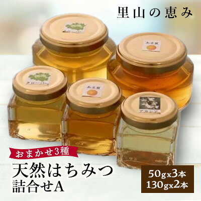 【ふるさと納税】天然はちみつ詰合せA(50gx3本、130gx2本) _ はちみつ 蜂蜜 天然はちみつ 詰め合わせ セット アカシア クローバー 甘夏みかん 甘味料 パン ヨーグルト 常温 美味しい 人気 おすすめ【1071811】