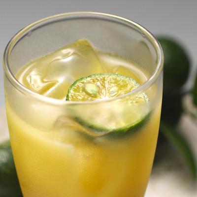 ふるさと納税 名護市 沖縄シークヮーサー原液　1ケース　(500ml×12本) |  | 02