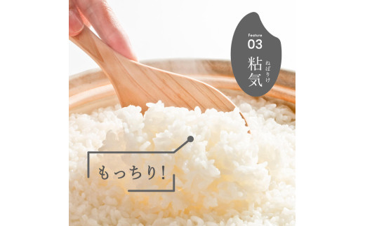 令和7年産 新潟県産 コシヒカリ 7kg 精米 米 お米 白米 コシヒカリ こしひかり おすすめ 人気 こめ コメ 新潟 見附 見附市 7年 2025年産 ふるさと納税 諸長