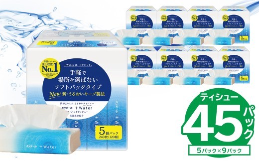 
                  【ハーフサイズ】エリエール +Water（プラスウォーター）ソフトパックティシュー　120W5P×9パック 【 ソフトパックティッシュ ティッシュ ソフトパック ティッシュペーパー 箱なし 日用品 新生活 備蓄 防災 消耗品 生活雑貨 生活用品 パルプ100％ 】
                