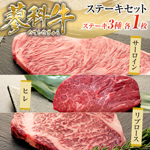 蓼科牛ステーキセット1（リブロース250g×1パック、サーロイン200g×1パック、ヒレ120g×1パック）