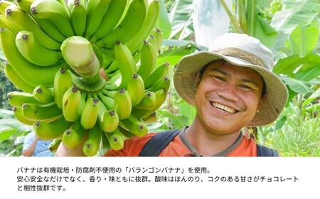 こびとジャム：贅沢バナナショコラ＆ハニー A-MM-A26A