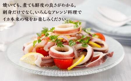 【復興支援】船凍するめいか 約2kg