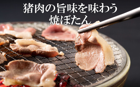 【猪肉】平戸いのしし モモ肉 スライス 300ｇ / ジビエ 焼肉 モモ肉 スライス 人気いのしし