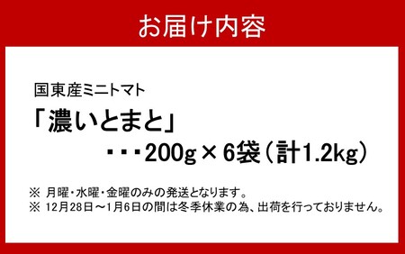 2363R_国東産ミニトマト「濃いとまと」1.2kg 小分け 200g×6袋