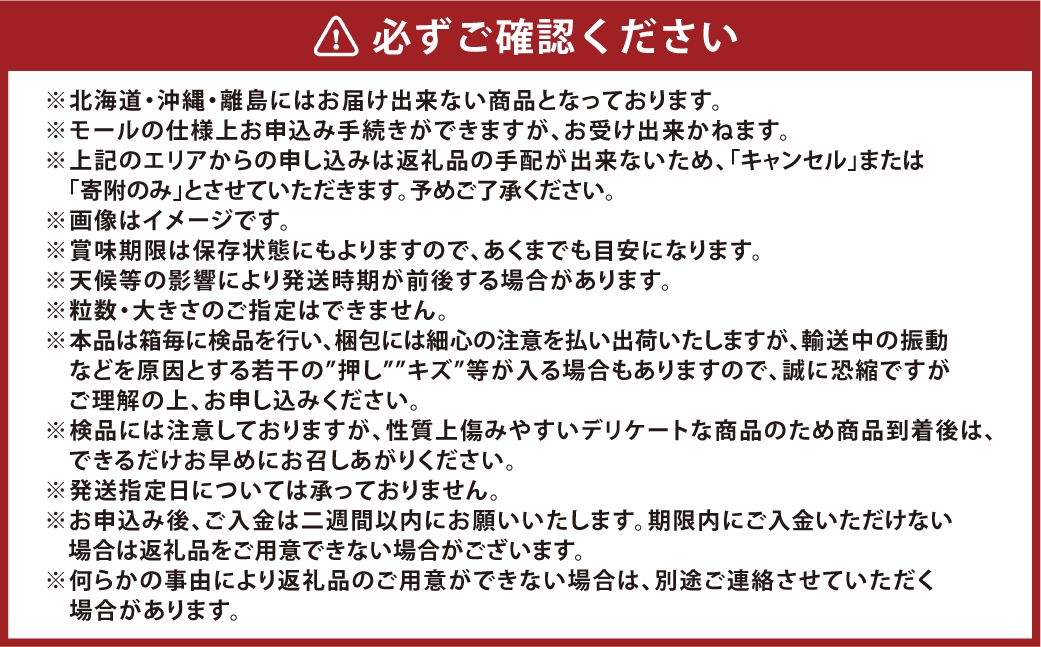[HS]【定期便 全2回】ぶどう 最高級品シャイン マスカット 晴王 1房 約600g
