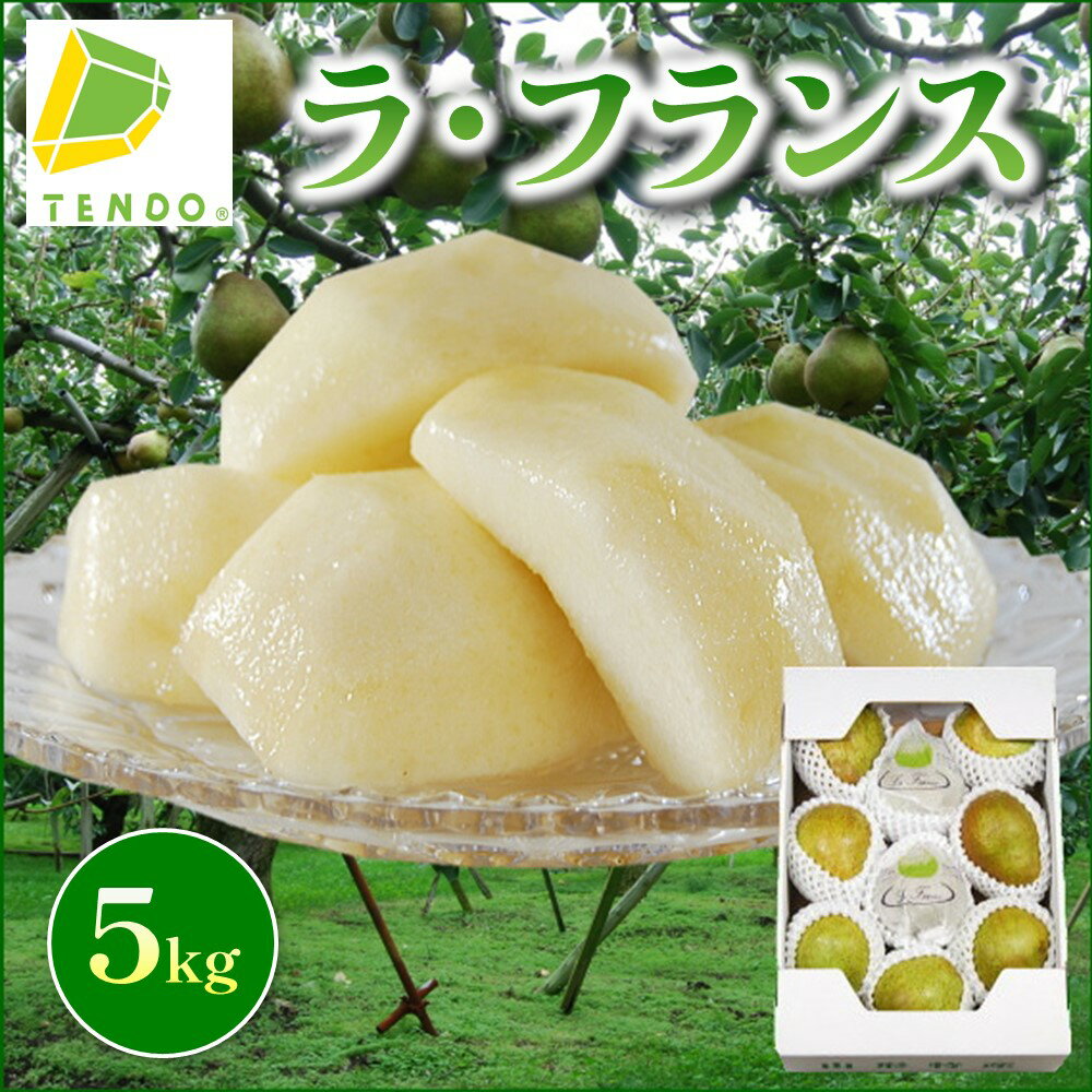 【ふるさと納税】【数量限定】ラ・フランス 5kg ラフランス 洋梨 果物 フルーツ 6L 〜 2L 秀 10玉 〜 18玉 家庭用 のし 贈答 ギフト プレゼント おすそ分け お取り寄せ 旬 秋 冬 期間限定 送料無料 先行予約 【 山形県 天童市 】