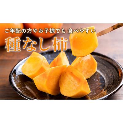 ふるさと納税 多気町 [令和8年度先行予約]優しい農園の次郎柿　10kg　家庭用 |  | 03