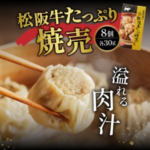松阪牛ハンバーグと松阪牛焼売のセット　[松阪牛 ハンバーグ 焼売]