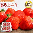 【ふるさと納税】博多あまおう 約280×4パック 約1120g 国産 九州 福岡県産 イチゴ いちご 苺 果物 くだもの フルーツ 予約 送料無料【2025年3月下旬より順次発送】[F2213]