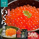 【ふるさと納税】三印 北海道産 いくら醤油漬(250g×2入) お取り寄せ 送料無料