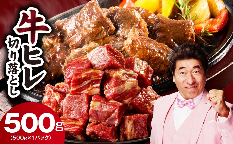 mrz0309 【お試し】牛ヒレ肉 切り落とし 500g【スピード発送 小分け 500g×1P 氷温熟成×特製ダレ サイズ不揃い やわらか ステーキ ひと口サイズ カット済み】