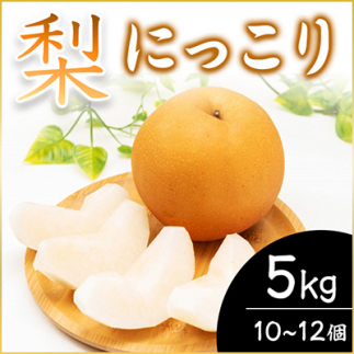＜2025年10月上旬より順次発送予定＞にっこり　5kg　10～12個(県内共通返礼品:石岡市産) (BR018)