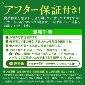 【2024年分先行予約】北海道十勝芽室町 スイートコーンゴールドラッシュ20本 me001-020-24c
