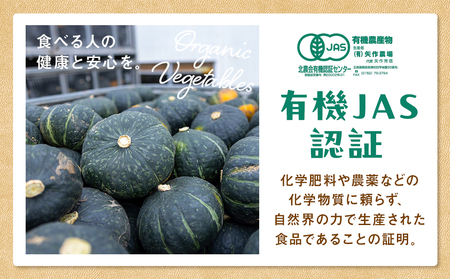 【先行受付】R8年産 有機栽培かぼちゃ 10kg | かぼちゃ カボチャ 南瓜 大容量 パンプキン 甘い 有機栽培 国産 産地直送 北海道 津別町 送料無料