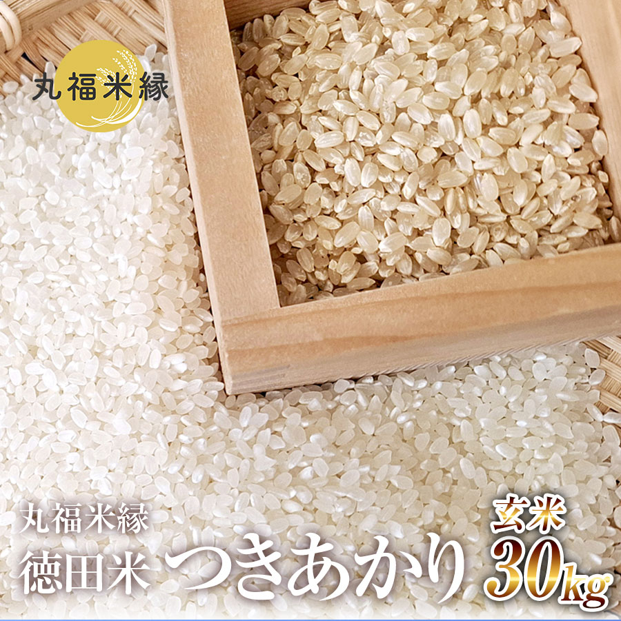 【ふるさと納税】月明りのように輝く特別な一膳　徳田米　つきあかり玄米　30kg