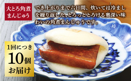 【全6回定期便】 長崎 大とろ角煮まんじゅう 10個 ＜岩崎本舗＞ [DBG044] 角煮まん 角煮 豚角煮 簡単 惣菜 冷凍 おやつ 中華 [DBG044]