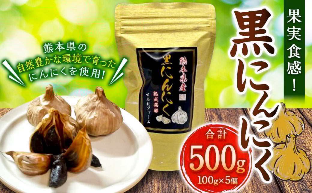 
                  果実食感！熟成 黒にんにく 500gセット 黒ニンニク にんにく ニンニク 野菜 やさい セット 熊本県 常温
                